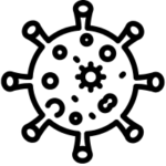 زگیل و سیستم ایمنی