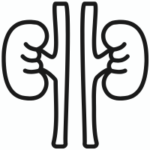 سنگ کلیه و صفرا