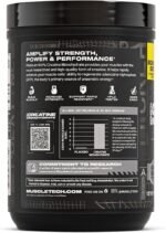 کراتین پلاتینیوم ماسل تک 450 گرم | MuscleTech Platinum 100% Creatine Monohydrate - تصویر 3